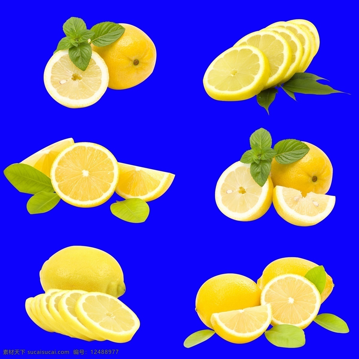 柠檬片素材 橘子 片柠檬 带叶