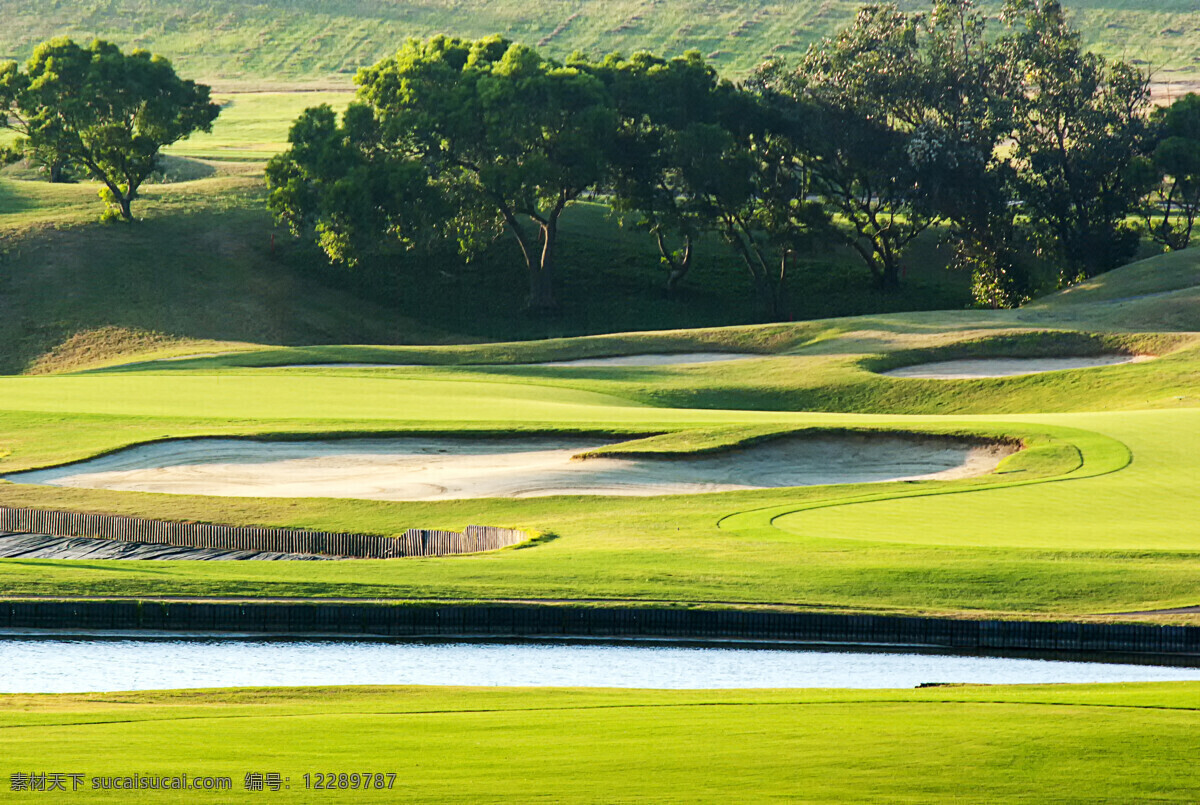 高尔夫草坪 高尔夫球场 草坪 草地 绿地 美丽风景 高尔夫俱乐部 自然风景 自然景观 黄色