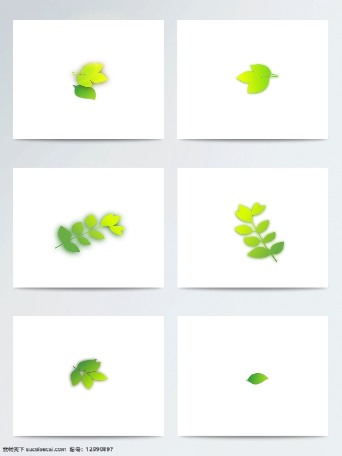 惊蛰 绿叶 写实 清新 矢量 元素 创意 植物 叶子 干净 节气 清爽 美观 配图 草木绿