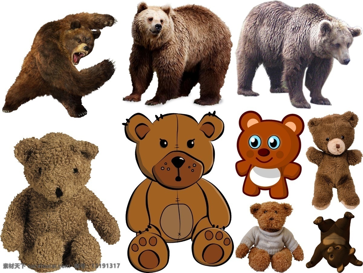 熊 免 扣 高清 素材图片 熊png 熊psd文件 熊免扣素材 熊素材 熊png素材 各种 生物世界 野生动物