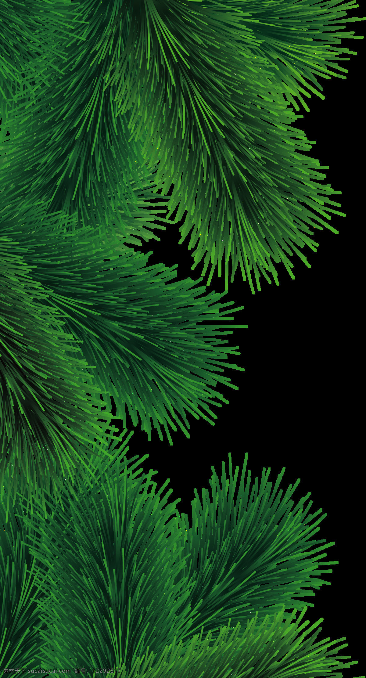 绿色 枞树 免 抠 透明 图 层 圣诞树 圣诞树装饰 矢量圣诞树 可爱圣诞树 商场圣诞树 白色圣诞树 松树 枞树素材 枞树装饰图 圣诞元素 绿色圣诞树 节日装饰元素