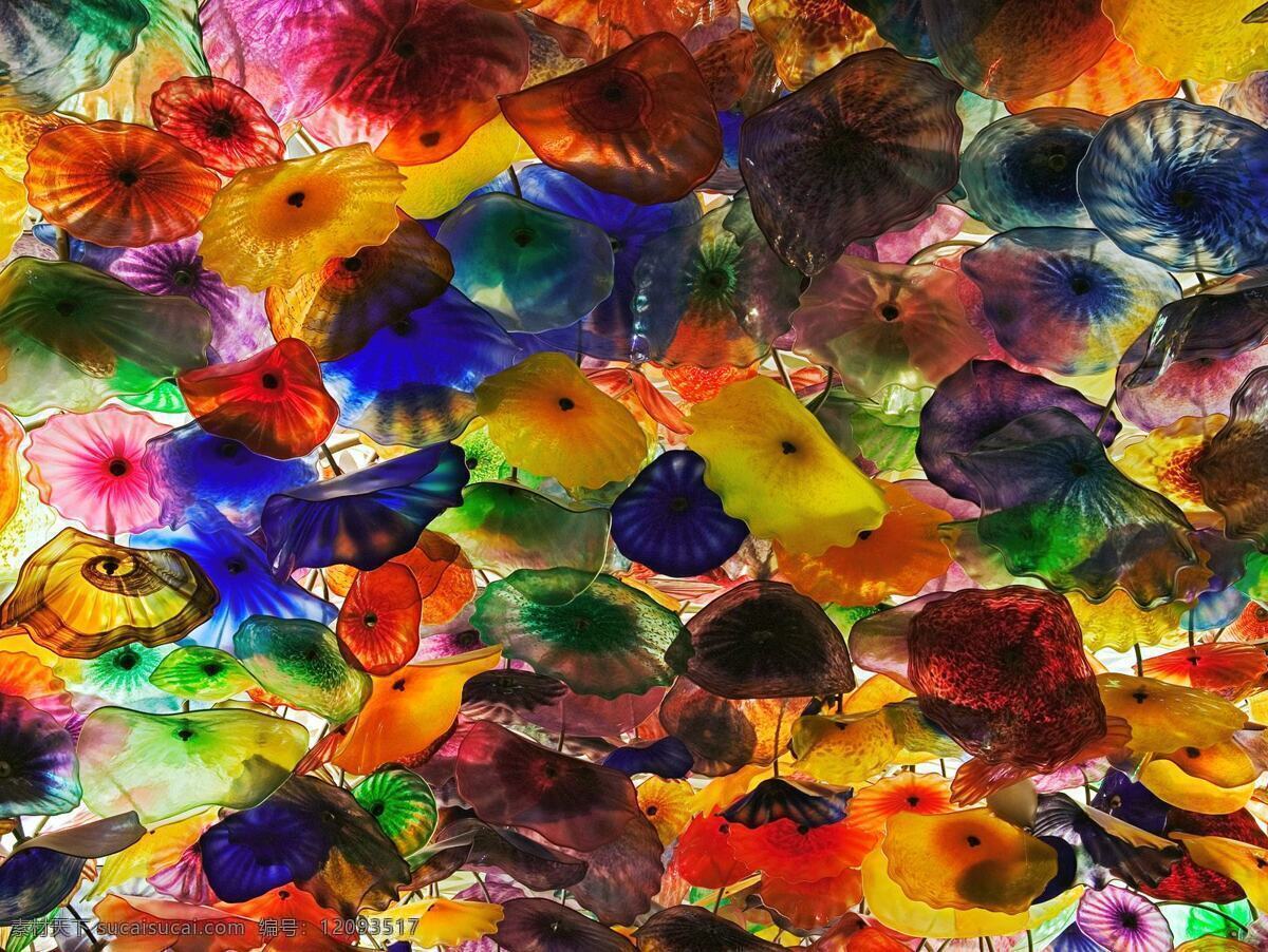 多彩贝壳 彩色 贝壳 贝类 迷幻 色彩斑斓 海洋生物 生物世界