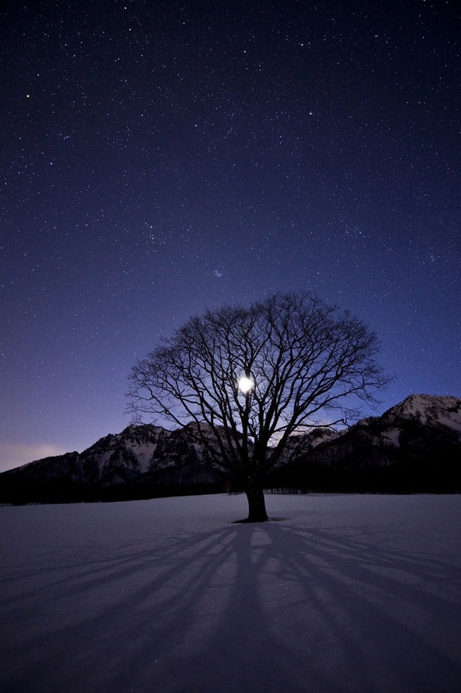 星辰 山 星光 月光 樱树 自然风景 自然景观