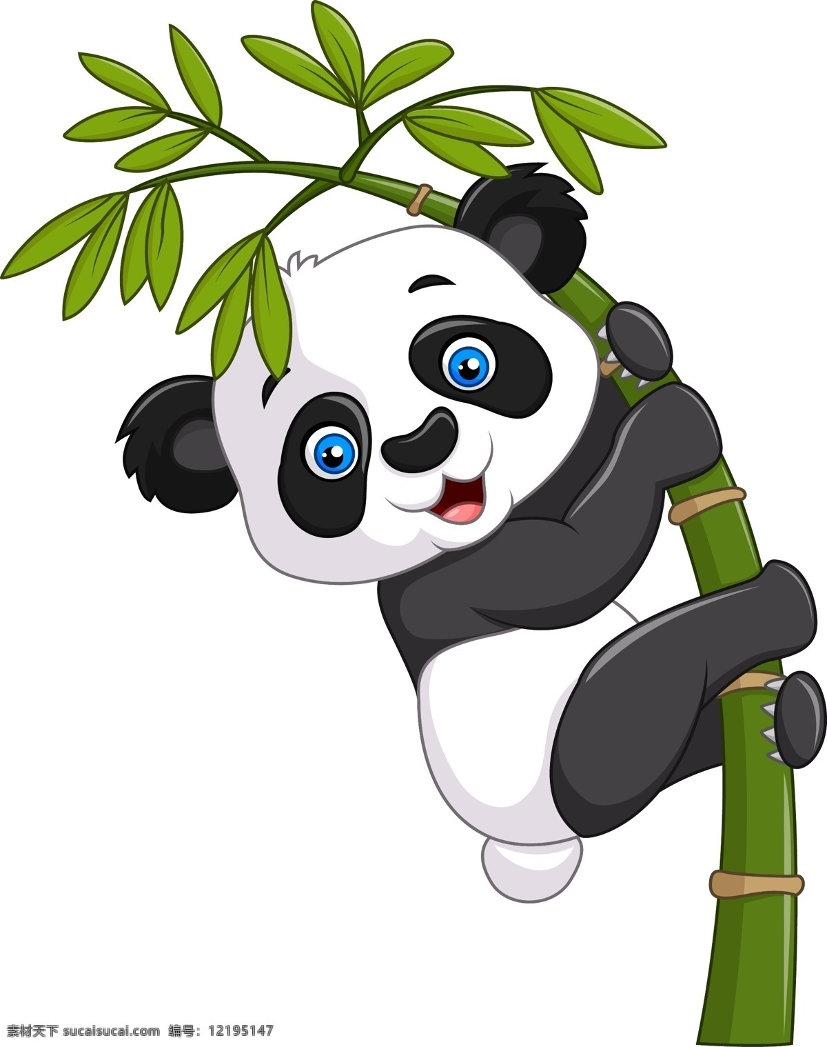 可爱的小熊猫 可爱 卡通 动物 熊猫 白色