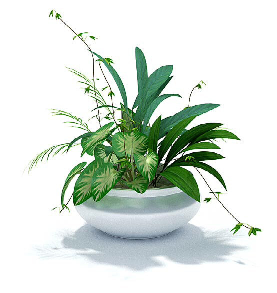 绿色植物 组合 盆景 3d 模型 绿色 植物 3d模型 3d渲染 白色 模型素材