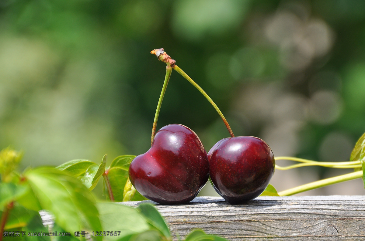 维生素 健康食物 绿色食物 草莓 高清水果图 健身食物 营养水果 苹果 生物世界