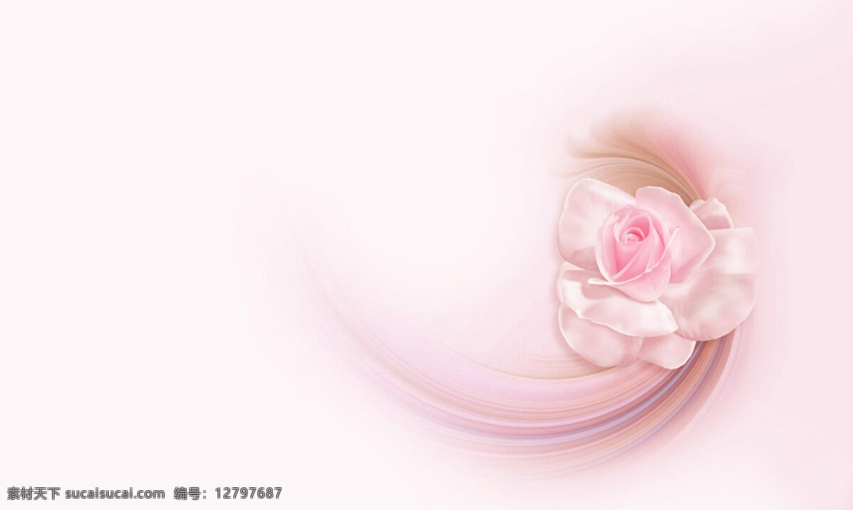 高清 壁纸 粉色 玫瑰花 爱情 背景图片