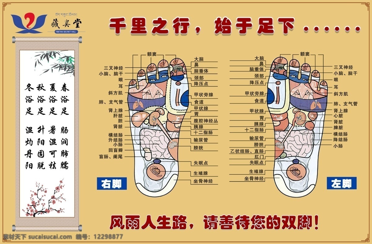 藏奥堂 足浴 秘方 健康 养生 精华