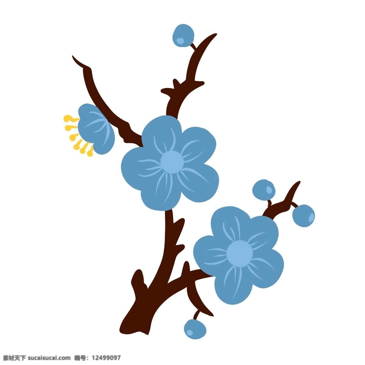 蓝色花朵植物 树枝 花朵 夏季