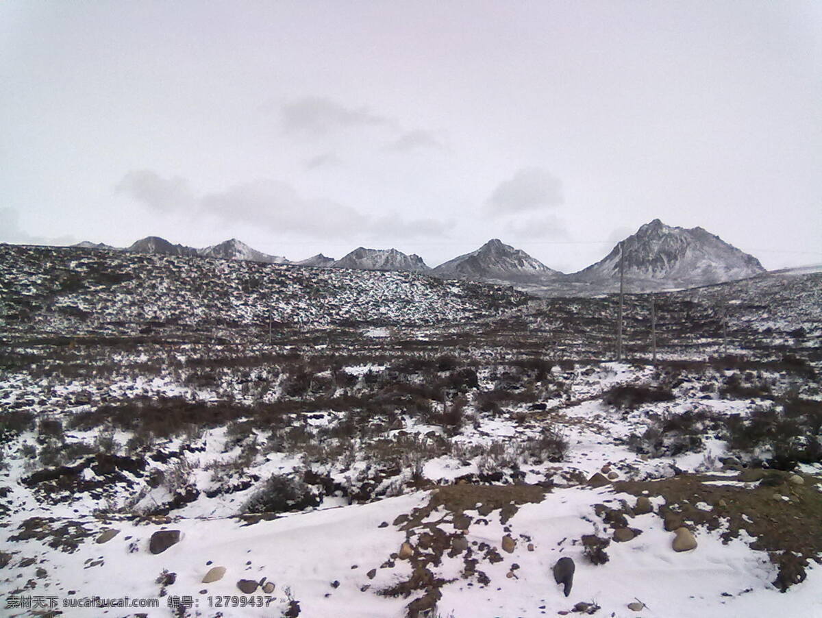 草原 雪山 草原风光 雪山风景 自然风光 自然风景 上 风景 划 原 风光 草原上的雪 生活 旅游餐饮