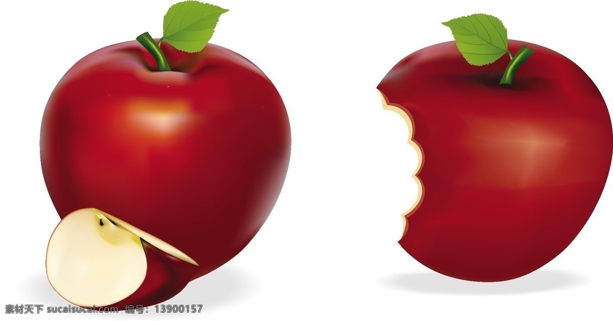 咬 苹果 红 反射 水果 叶 阴影 下降 新鲜的 健康 生活方式 绘画插图 失踪的咬 红色的 闪亮的 病媒生物 矢量图 其他矢量图