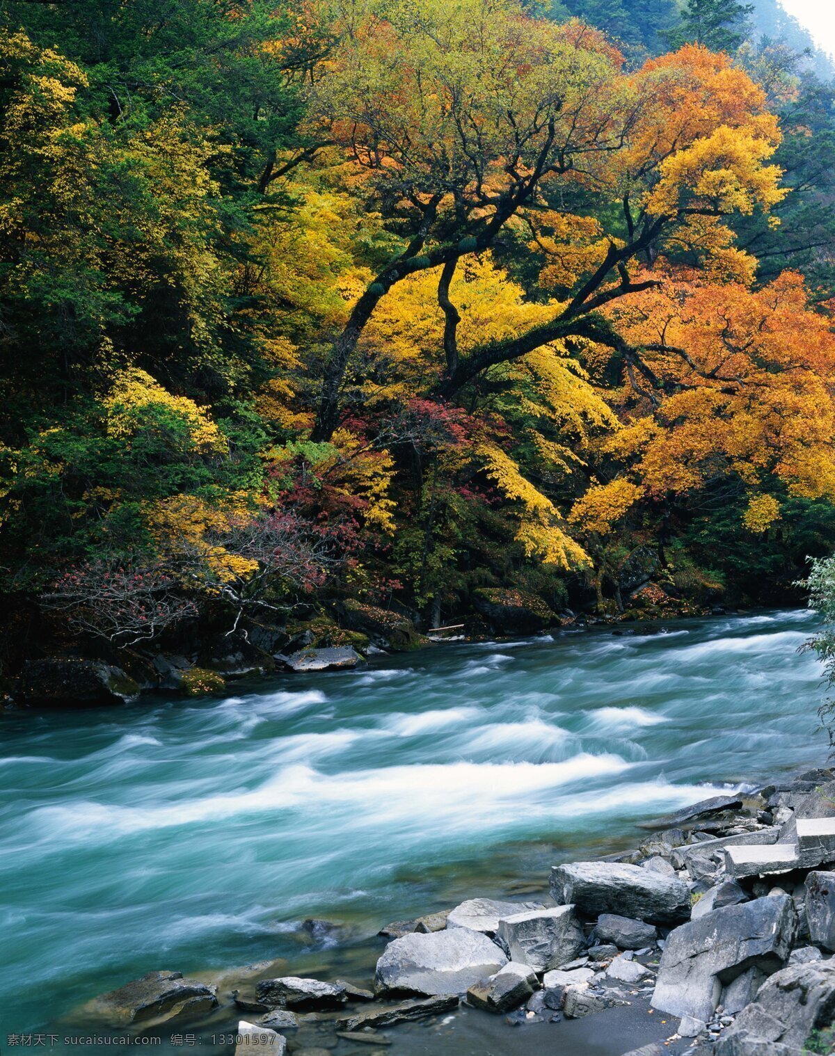 九寨沟风光 小溪 水流 石头 丛林 树木 旅游 瀑布 天空 美景 山水风景 自然景观