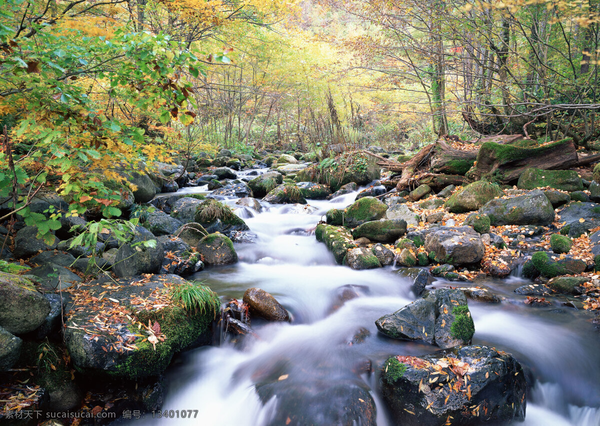 山涧 河流 自然 风景 水花 水雾 溅出 湍急 急流 岩石 树林 山水风景 风景图片