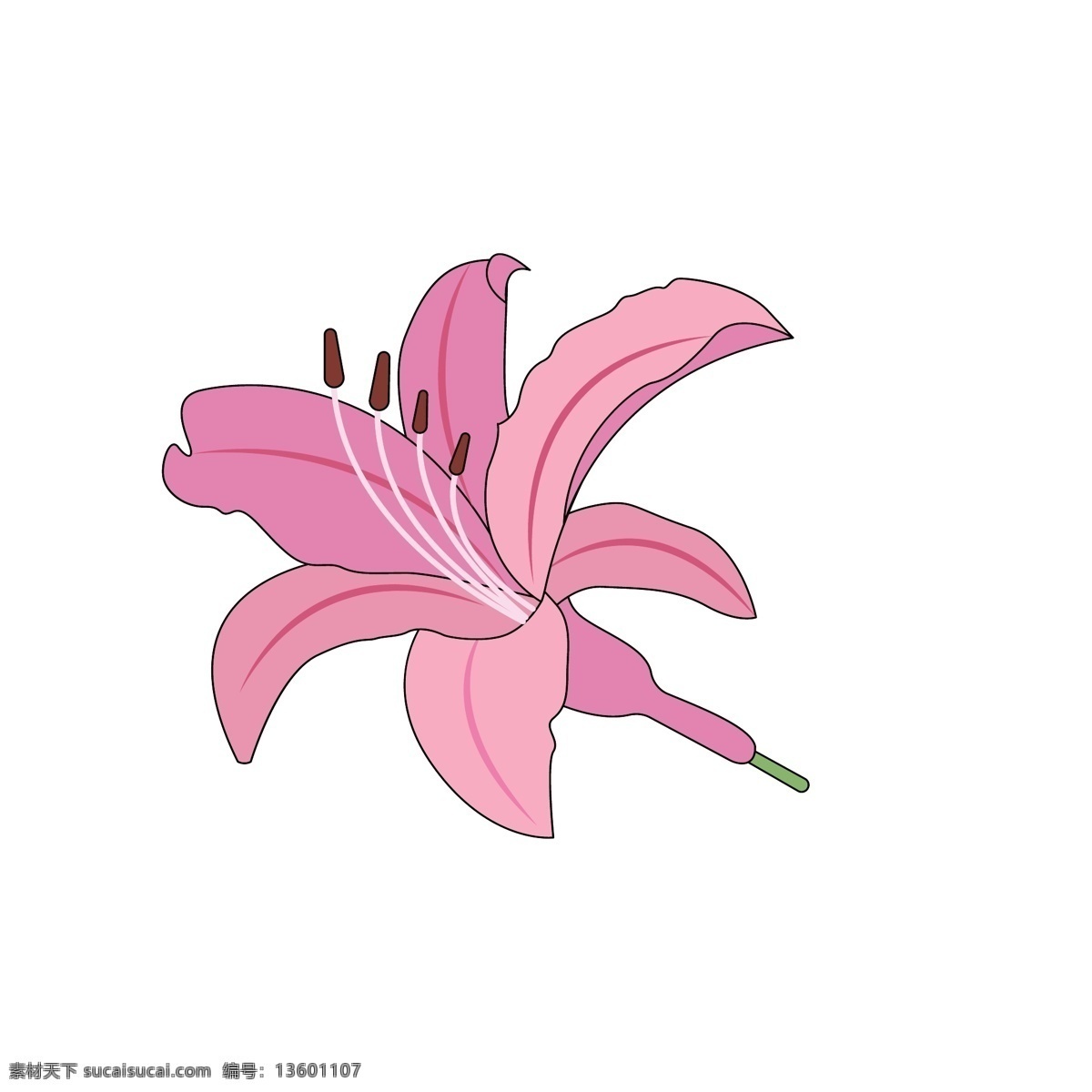 手绘 花 简 笔画 元素 手绘花 简笔画 百合花 装饰元素 鲜花