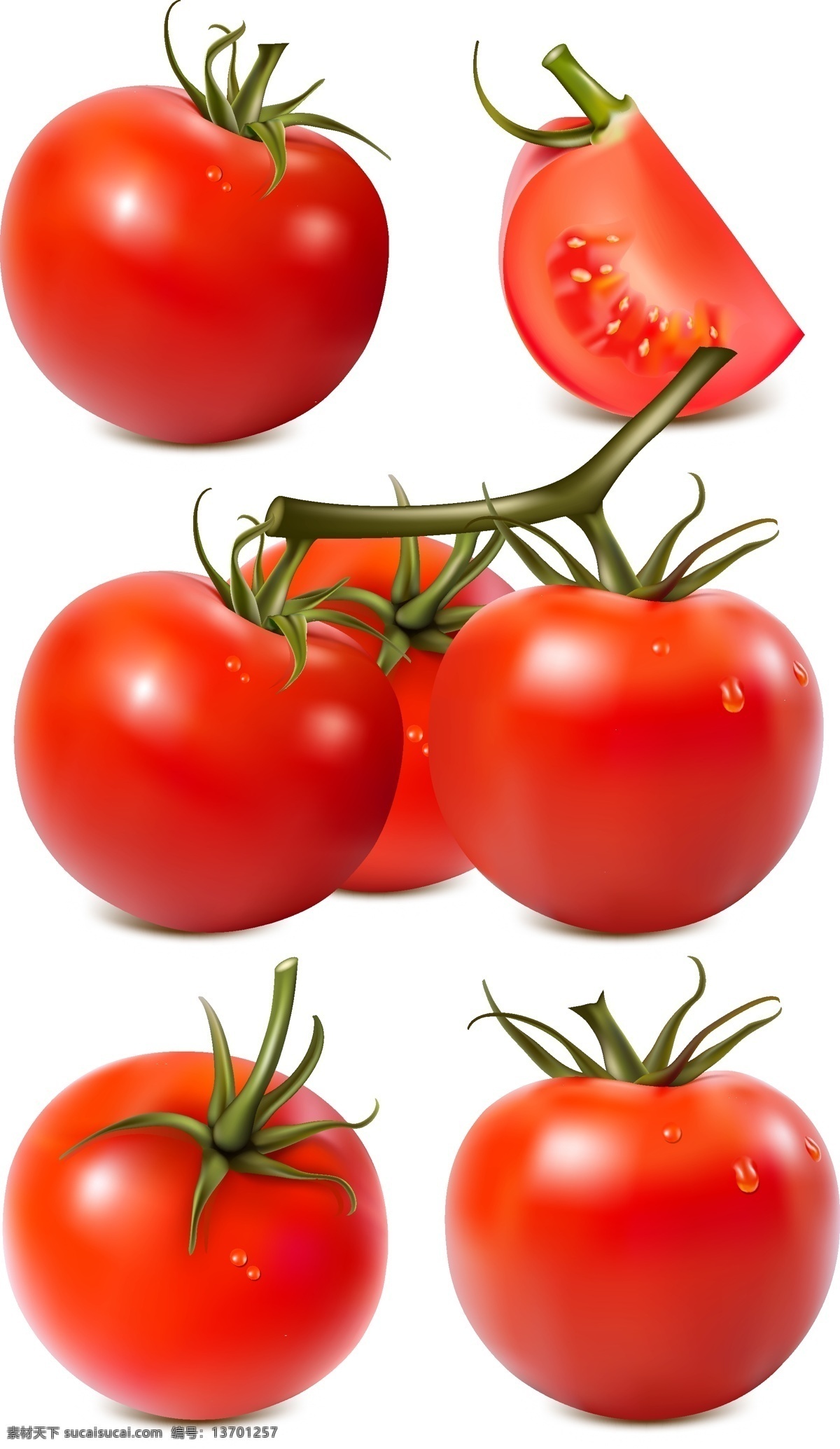 高清 西红柿 矢量图 番茄 西红柿下载 高清西红柿 西红柿矢量 番茄下载 番茄矢量 水果 一半西红柿 一半番茄 蔬菜水果 生物世界 蔬菜