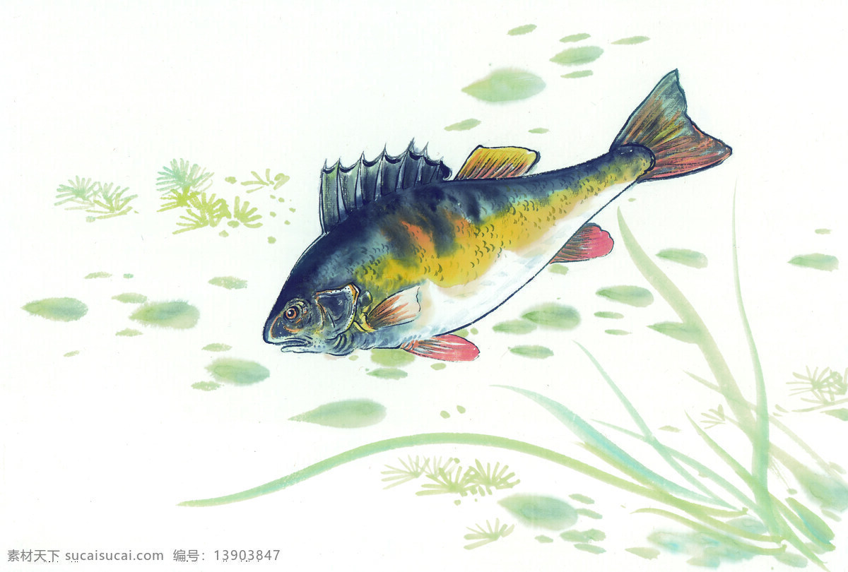 中华 艺术 绘画 古画 鱼 水生植物 金鱼 螃蟹 中国 古代 传统绘画艺术 美术绘画 名画欣赏 水彩画 水墨画 文化艺术