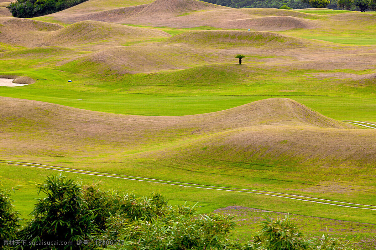 高尔夫球场 草坪 草地 绿地 美丽风景 高尔夫俱乐部 自然风景 自然景观 黄色