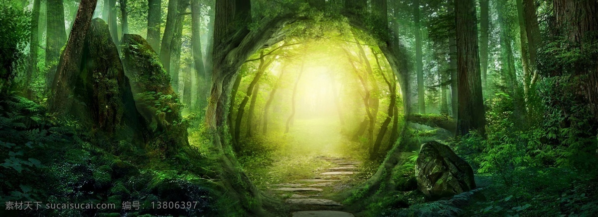 绿色森林 绿色背景 森林背景 神秘背景 生物科技 丛林 热带雨林 暗色背景