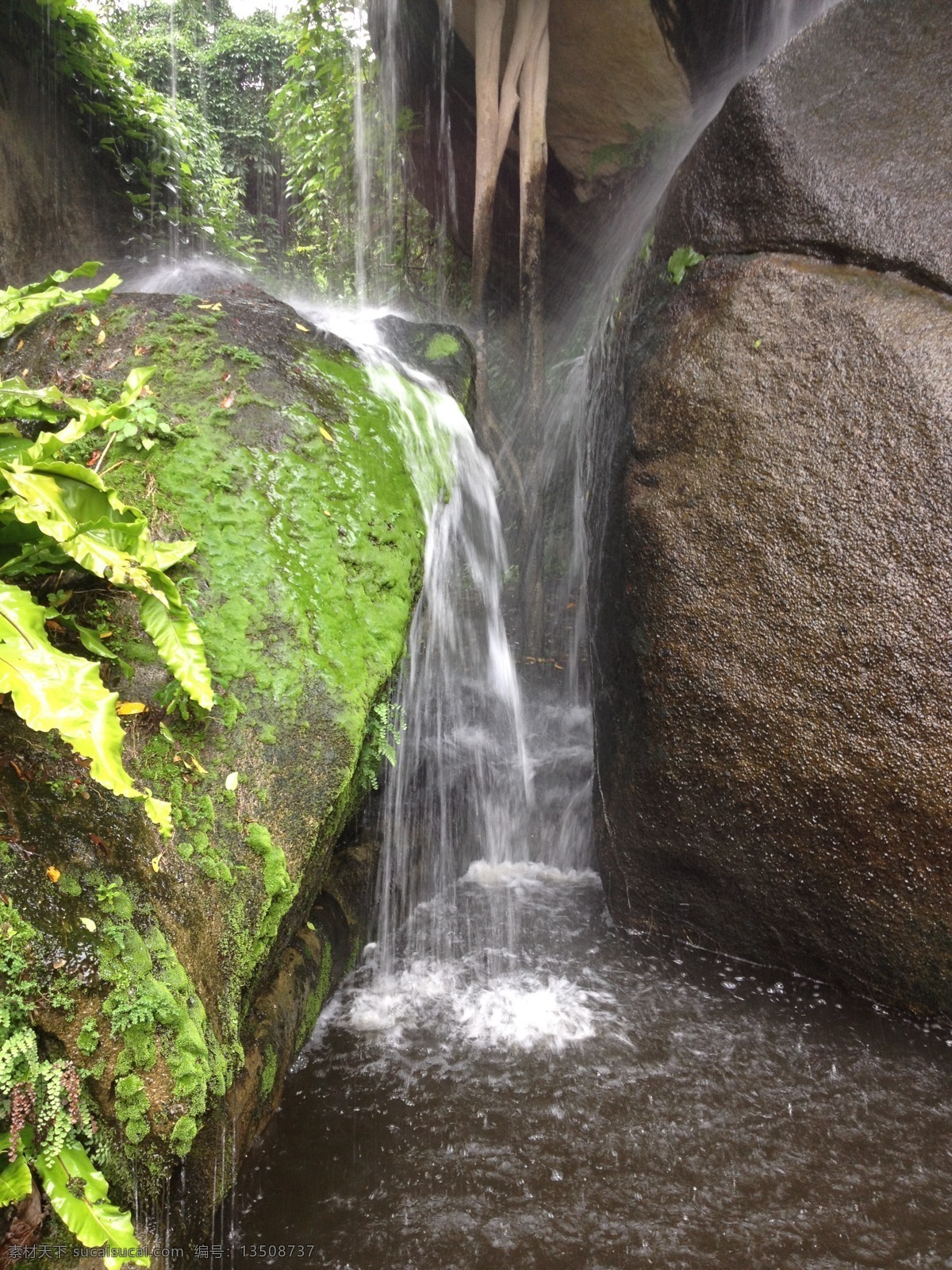 厦门 绿色 瀑布 苔藓 小瀑布 流水 长曝光 国内旅游 旅游摄影 灰色