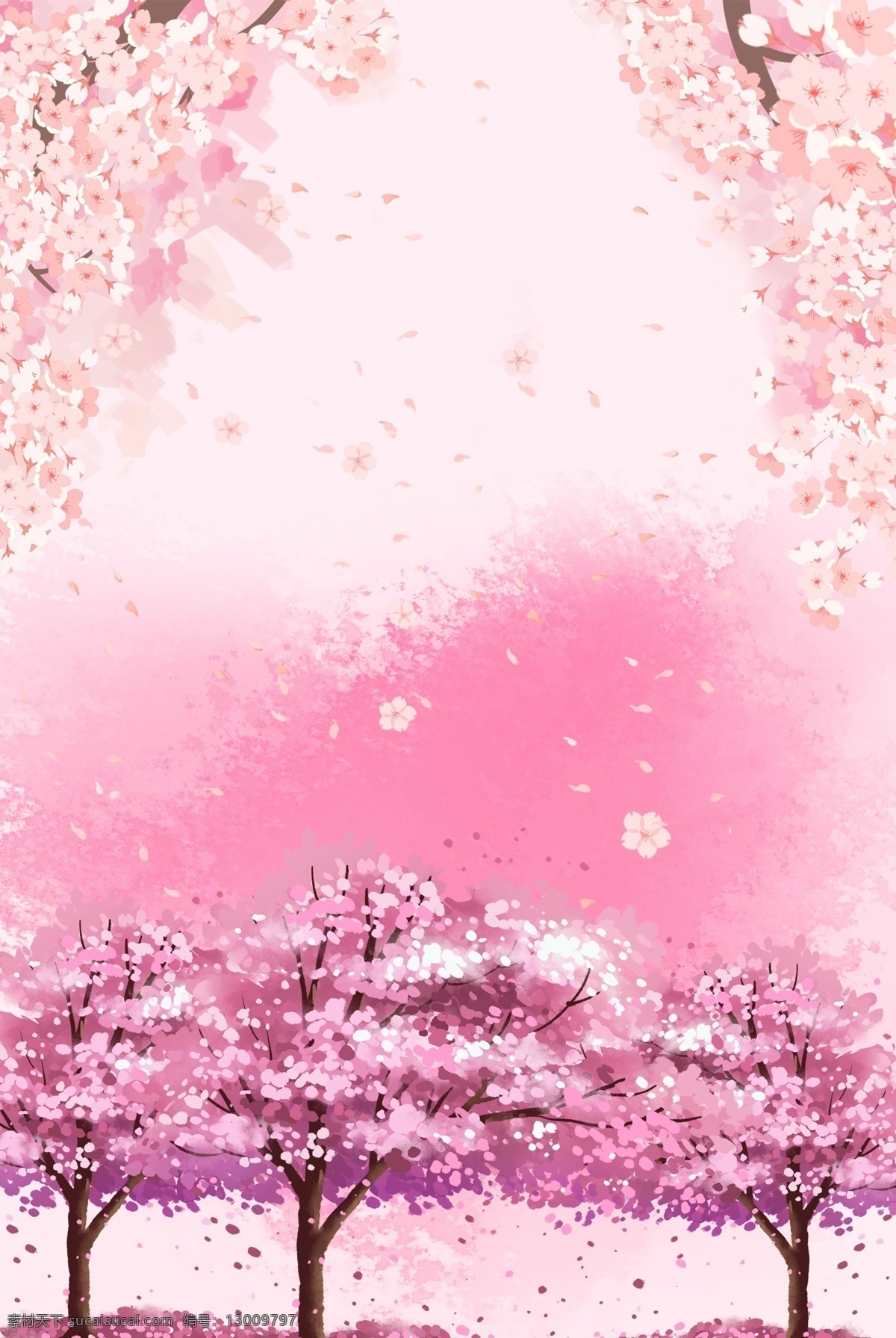 粉色 浪漫 春天 樱花 贺卡 背景 桃花