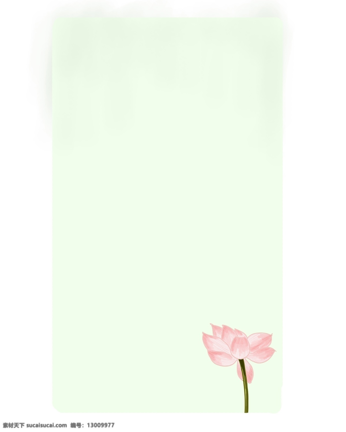 粉色 花枝 装饰 纸张 绿色 枝条