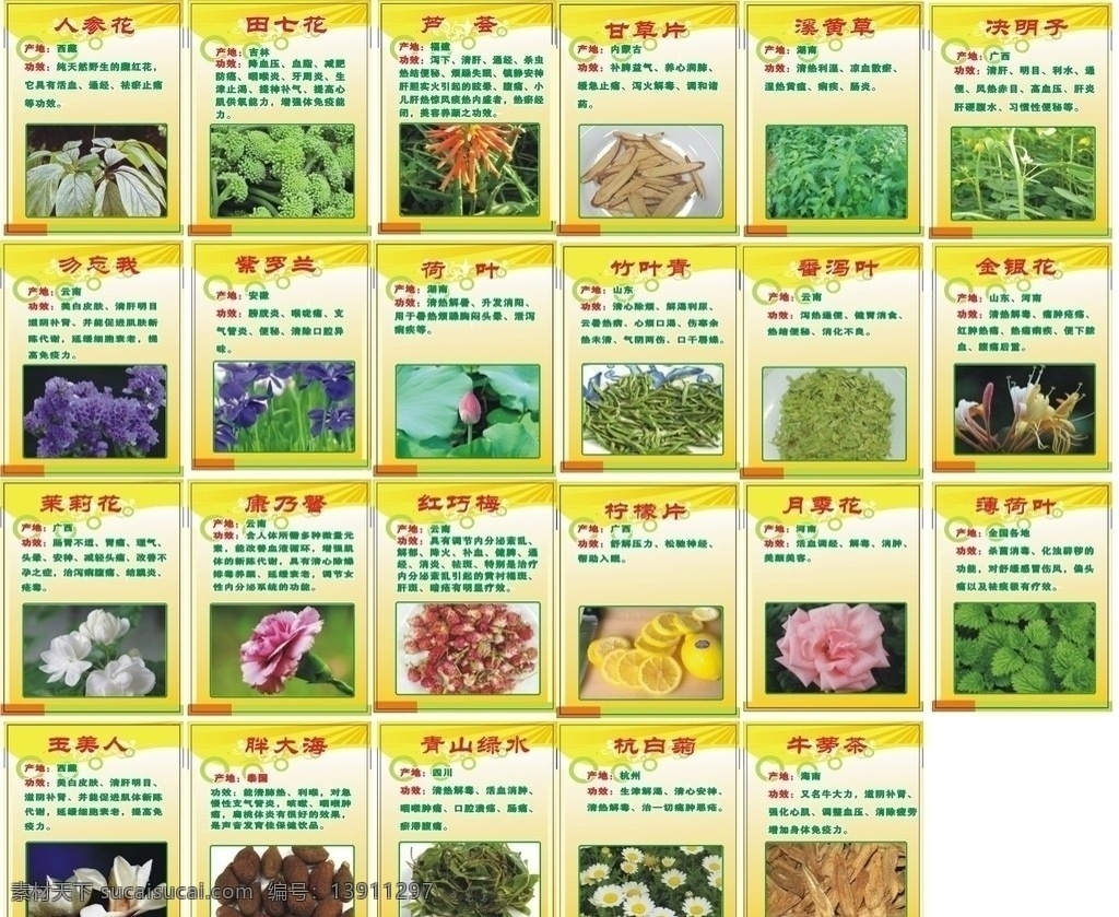 春满轩花茶 花茶 人参花 田七花 芦荟 甘草片 溪黄草 决明子 勿忘我 紫罗兰 荷叶 竹叶青 番泻叶 金银花 茉莉花 康乃馨 红巧梅 柠檬片 月季花 薄荷叶 玉美人 胖大海 青山绿水 杭白菊 牛蒡茶 展板 展板模板 矢量
