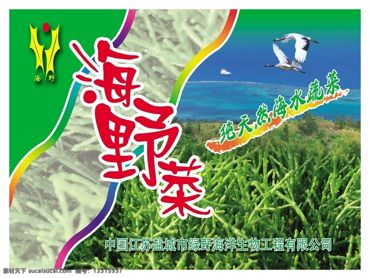 海野菜 分层 包装 纯天然 单页 分层素材 封面素材 广告 野菜 海水 蔬菜 海蓬子 海水植物 海产品 海水蔬菜 源文件 风景 生活 旅游餐饮