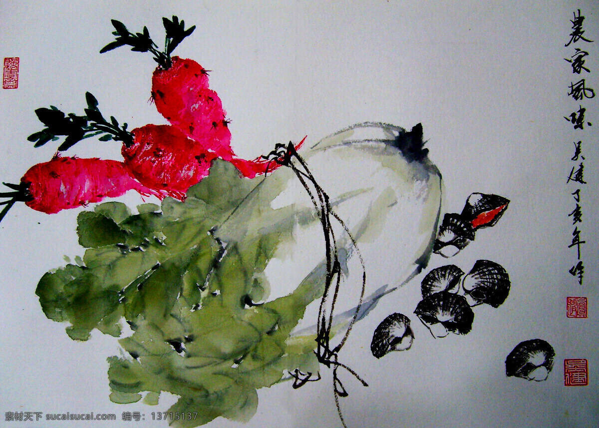 大白菜 国画艺术 画 绘画书法 书法 蔬菜 水墨画 农家风味 中国画 现代国画 红罗卜 水螺 印章 国画集7 文化艺术 装饰素材 雕刻 图案