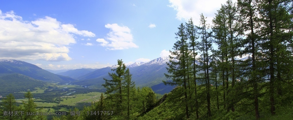 森林公园 喀纳斯 国家旅游景区 国家地质公园 自然保护区 旅游景点 旅游摄影 国内旅游