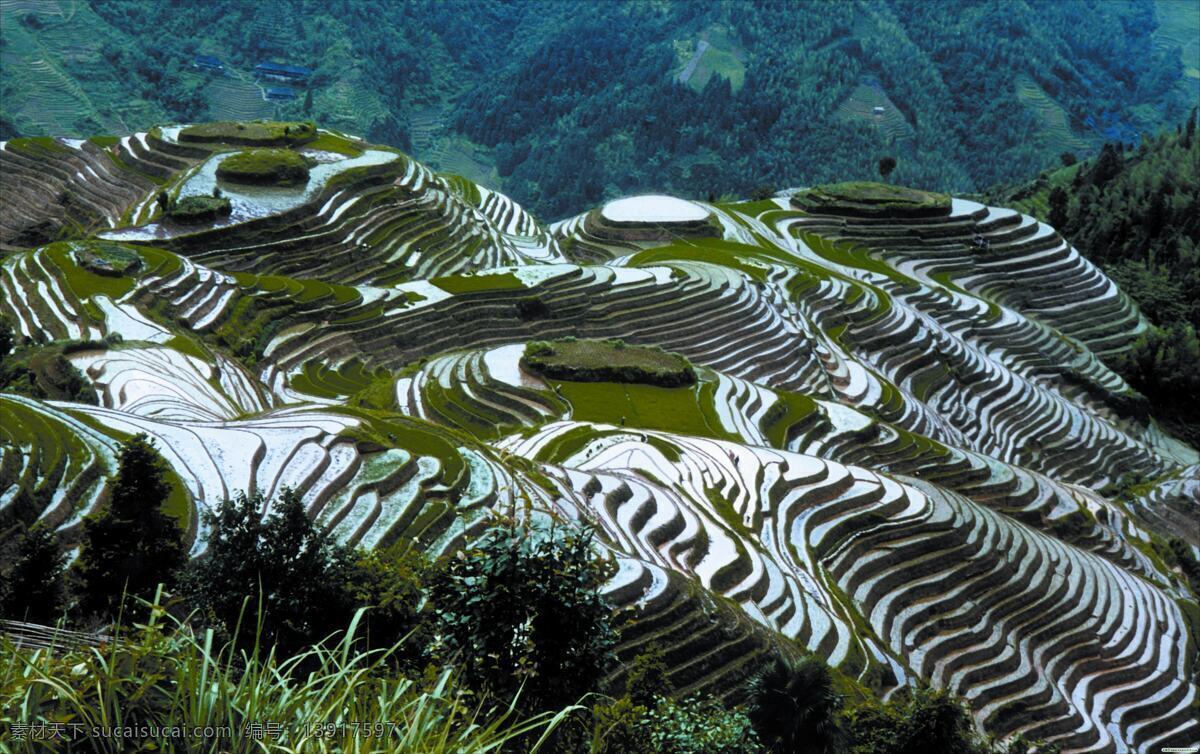 广西梯田 摄影图 梯田 梯田风景图片 梯田图片 田园 田园风光 田园风景 田园风情 田园景色 风景 龙胜风光 田园摄影 田园山水 田园图片 自然景观 家居装饰素材 山水风景画