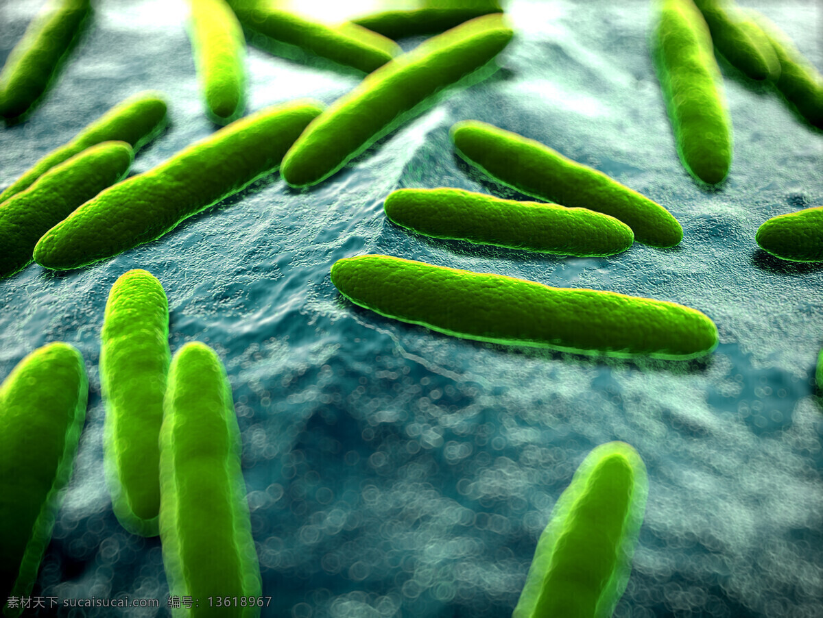 细菌 背景 微生物 病毒 细菌生物 其他生物 生物世界