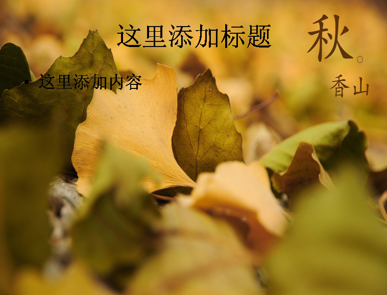 北京 香山 静 宜 园 秋天 风景摄影 宽 屏 风景 红叶 静宜园 自然风景 模板