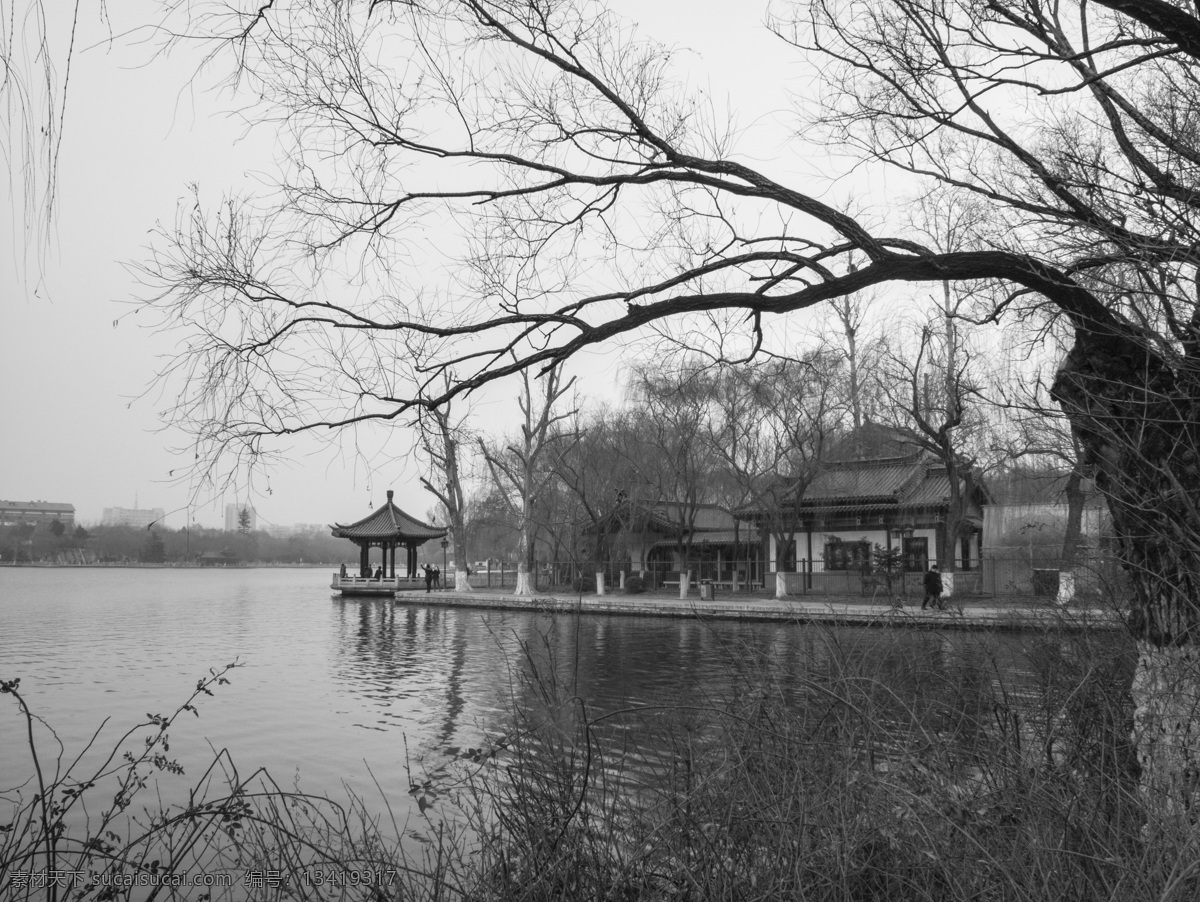 大明湖 冬日 苍苍 压抑 残柳 山水风景 自然景观