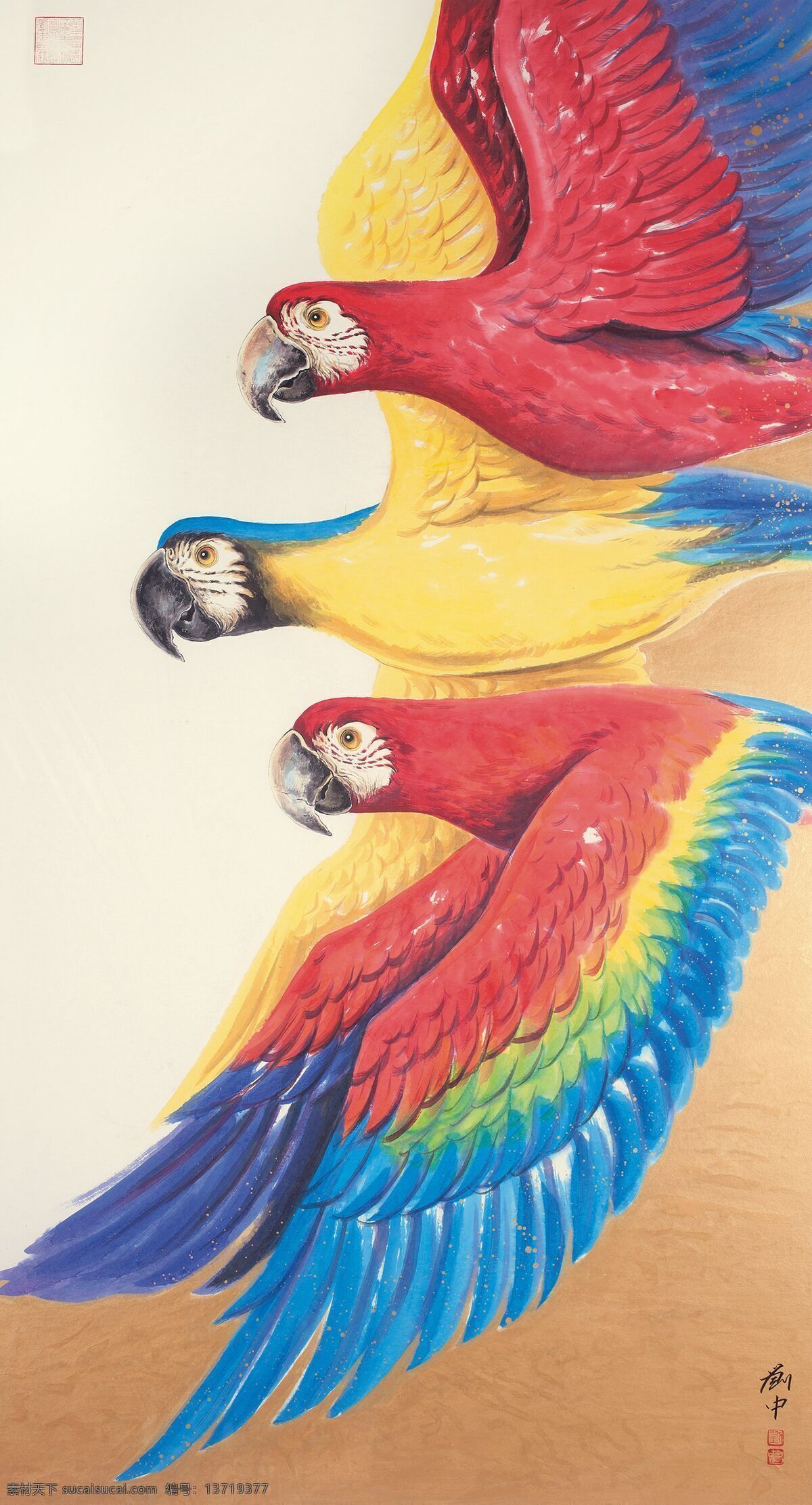 美洲鹦鹉 三只 彩色 红鹦鹉 蓝鹦鹉 飞翔 中国古代画 中国古画 文化艺术 绘画书法