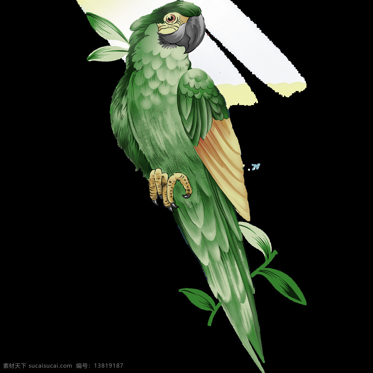 唯美 绿色 鸟儿 绘画 美观 鲜明 逼真 鹦鹉形象 生动