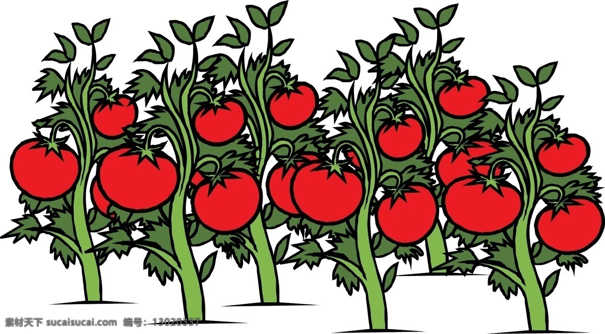 番茄矢量素材 番茄 花园 藤 植物 红色 成熟 绿色 食品 培养 生物世界 蔬菜