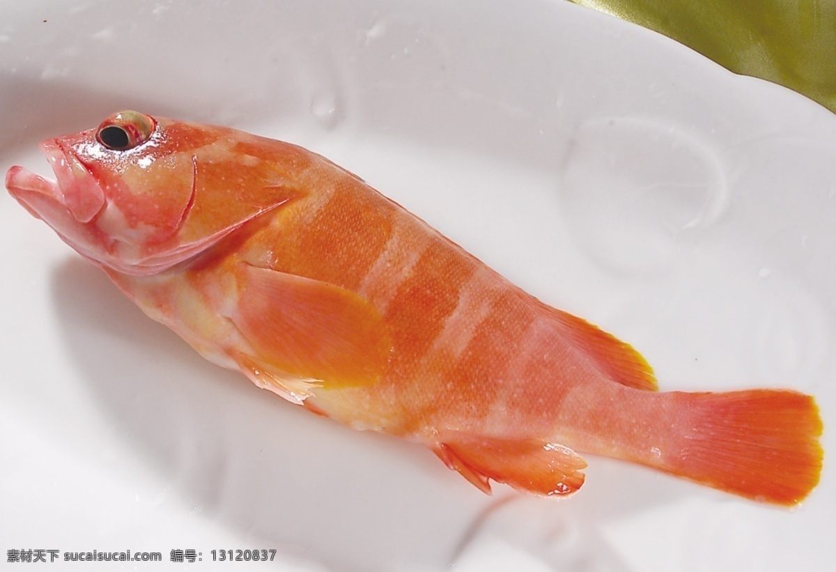 红玫瑰鱼 鱼 豪华 食品 餐具 宴会 海鲜 餐饮美食 传统美食