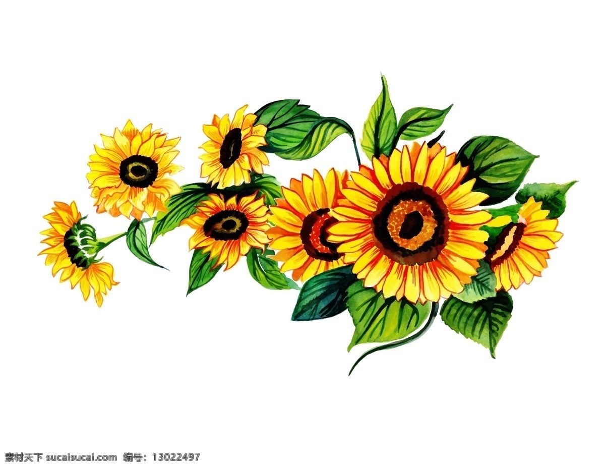 卡通 向日葵 花朵 元素 小清新 绿叶 植物 花卉 手绘 向阳 ai元素 矢量元素