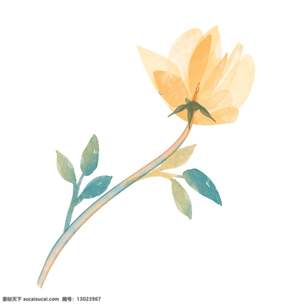 黄色 透明 水彩 花朵 浪漫