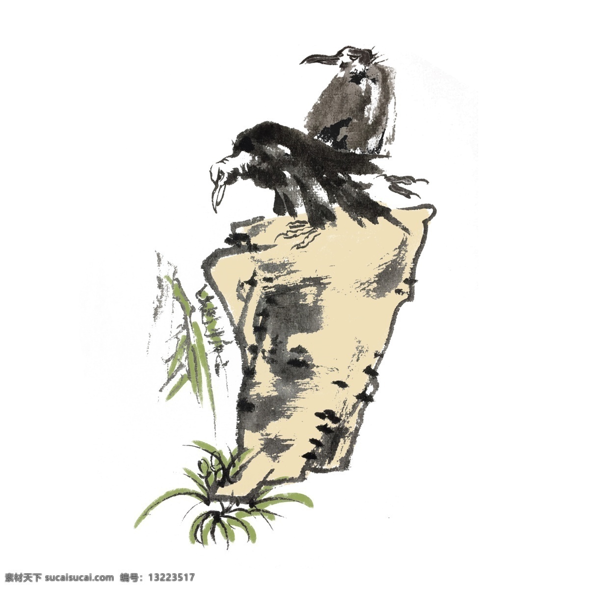 水墨 风 老鹰 手绘 插画 中国风 动物 古风 水墨风 墨迹 夏季 彩色 昆虫 春天 生动 花草 国风 国画 花鸟