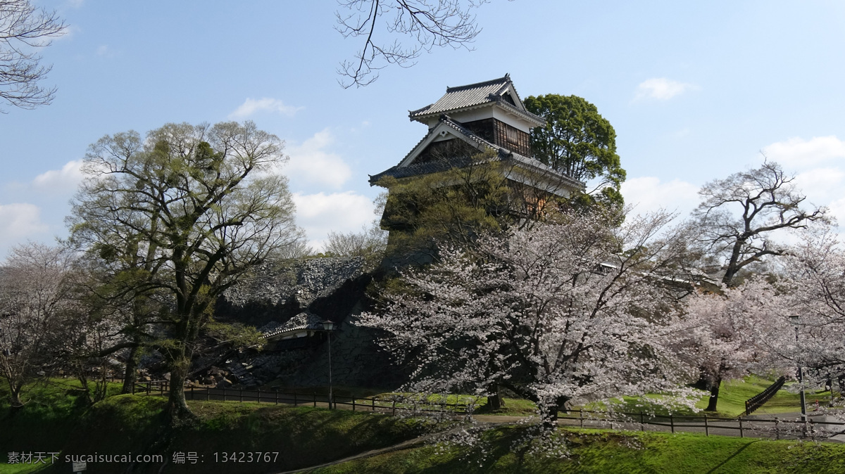 熊本古城 日本 九州 熊本 古城 樱花 熊本城 九州风光 旅游摄影 国外旅游