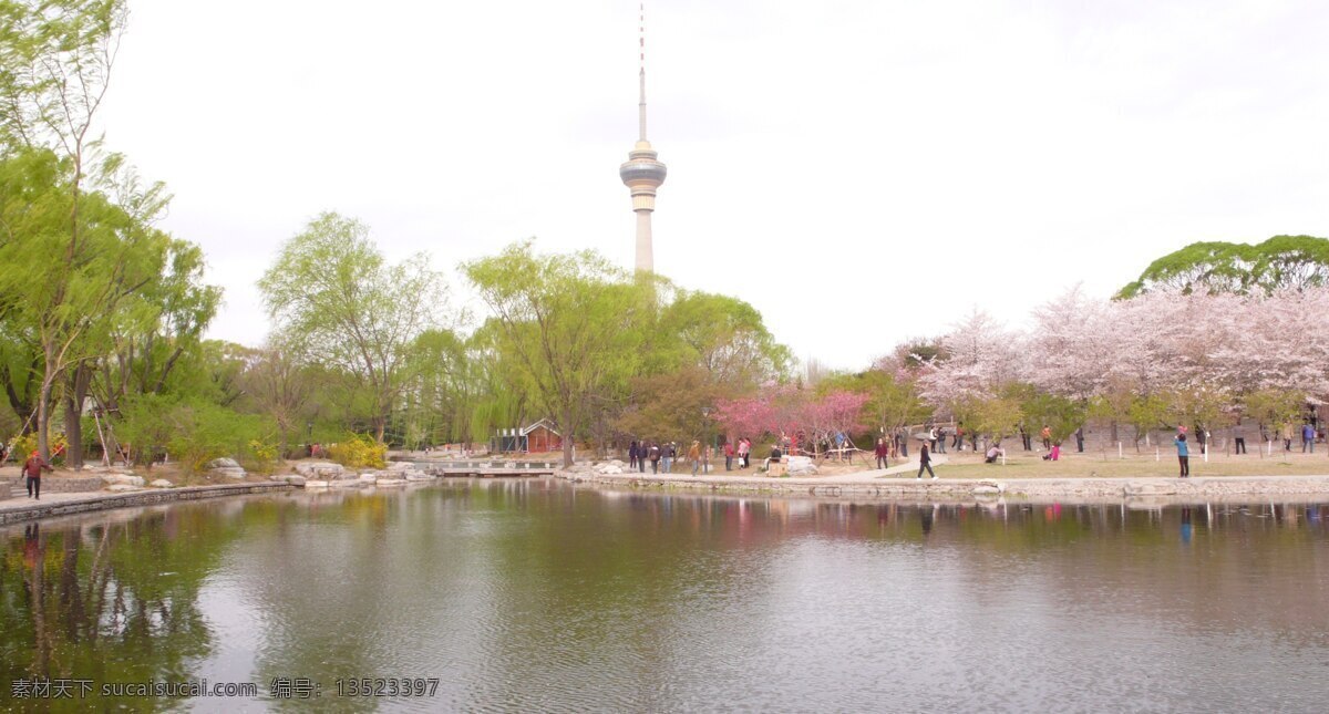 玉渊潭公园 风光 北京 海淀区 西三环 旅游 旅游摄影 国内旅游
