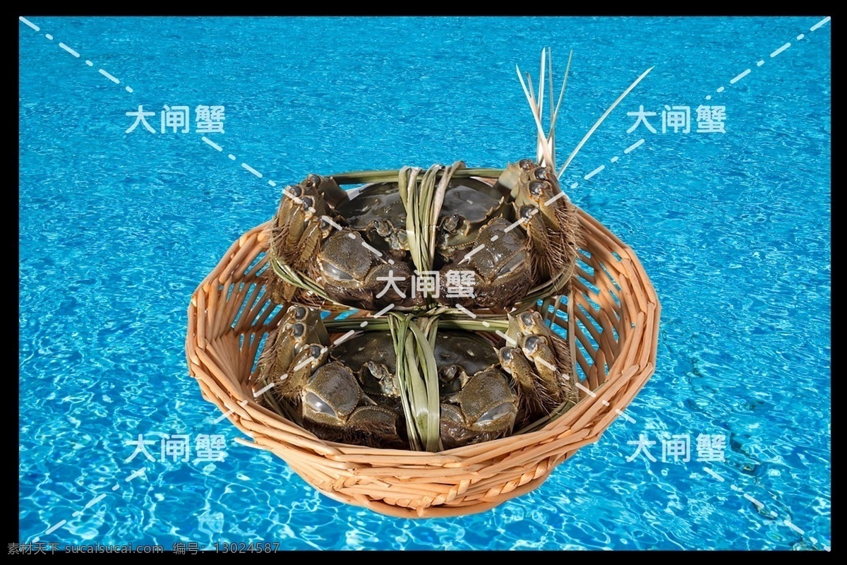 新鲜大闸蟹 市场 海鲜 新鲜 超市 河蟹 水产 活的 新鲜螃蟹 海鲜超市 水产市场 超市大闸蟹 中华绒螯蟹 新鲜花蟹青蟹 活的大闸蟹 螃蟹 阳澄湖大闸蟹 生物世界 海洋生物