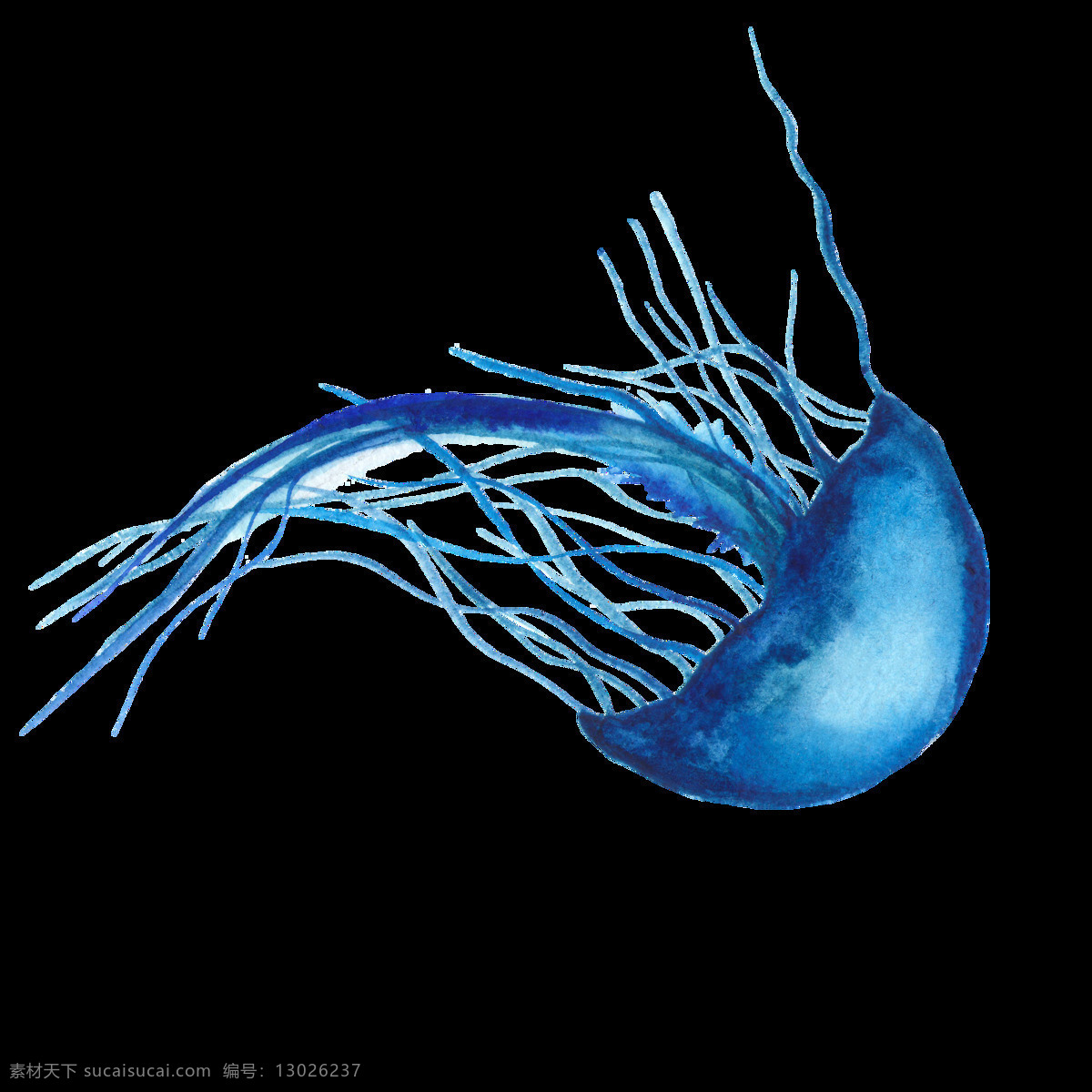 海洋生物 水母 图案 淡蓝色水彩画 水彩元素 手绘涂鸦 海洋元素 海洋主题装饰
