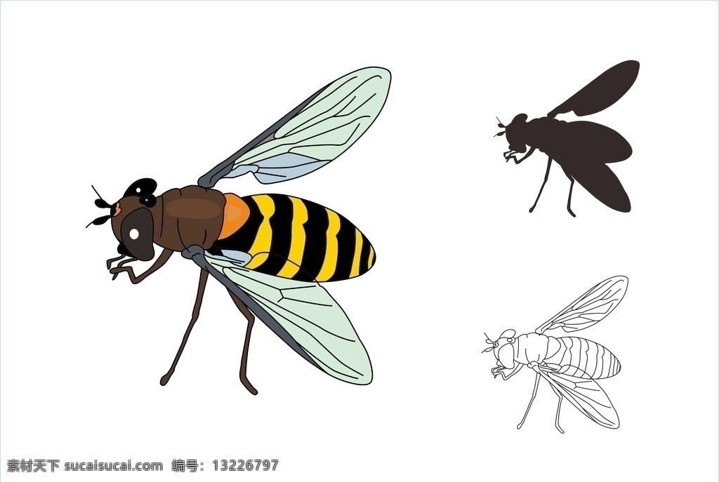 蜜蜂 蜂蜜 昆虫 花蜜 采蜜 动物 矢量图 生物世界