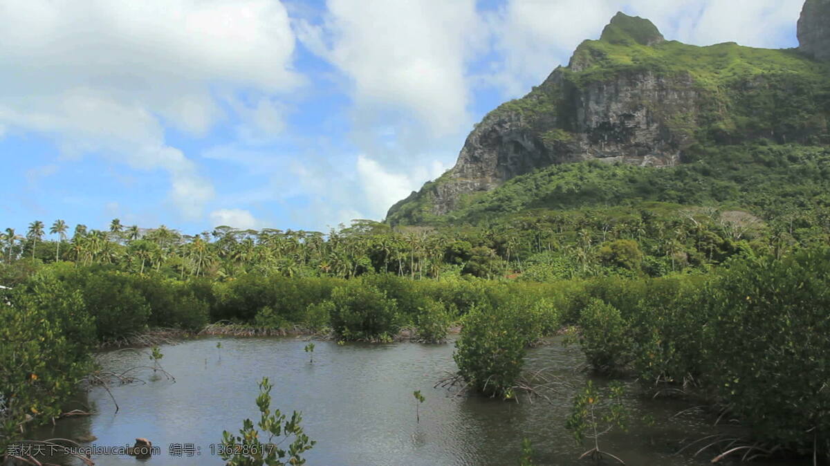 波拉 岛 红树林 沼泽 股票 视频 热带 山 湿地 树木 悬崖 植物 波拉波拉岛 法属波利尼西亚 水 灌木丛林 其他视频