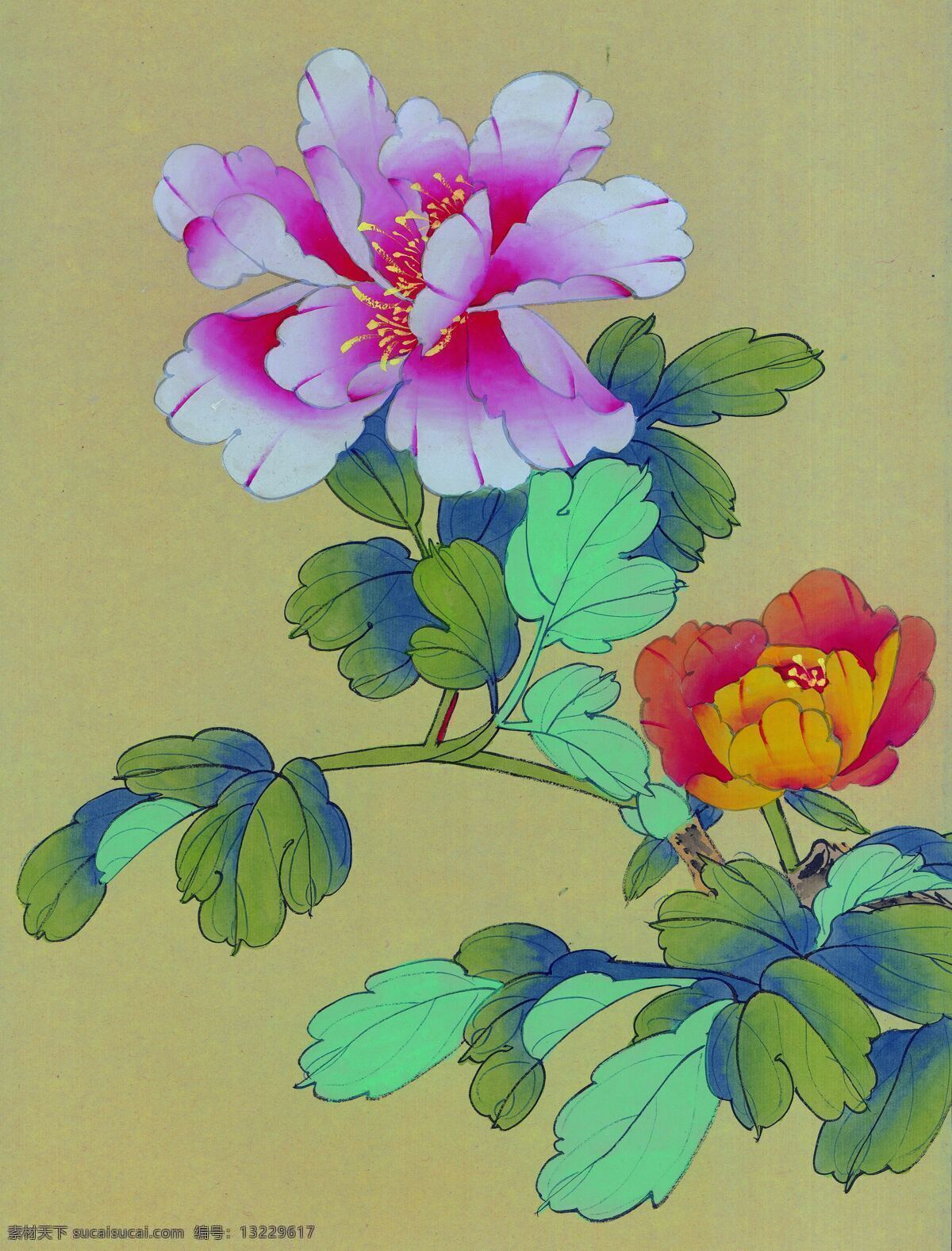 牡丹 墙 画 牡丹花 墙画 文化艺术