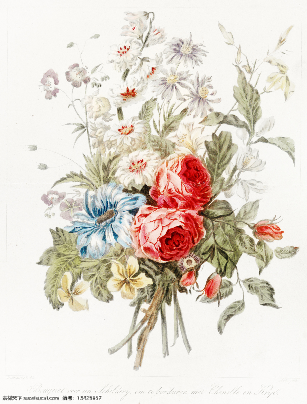 一束鲜花 水彩鲜花 花朵插画 鲜花插画 手绘鲜花 卡通鲜花 鲜花绘画 水彩花朵 花朵水彩画 植物水彩画 速写花朵 花 生物世界 花草