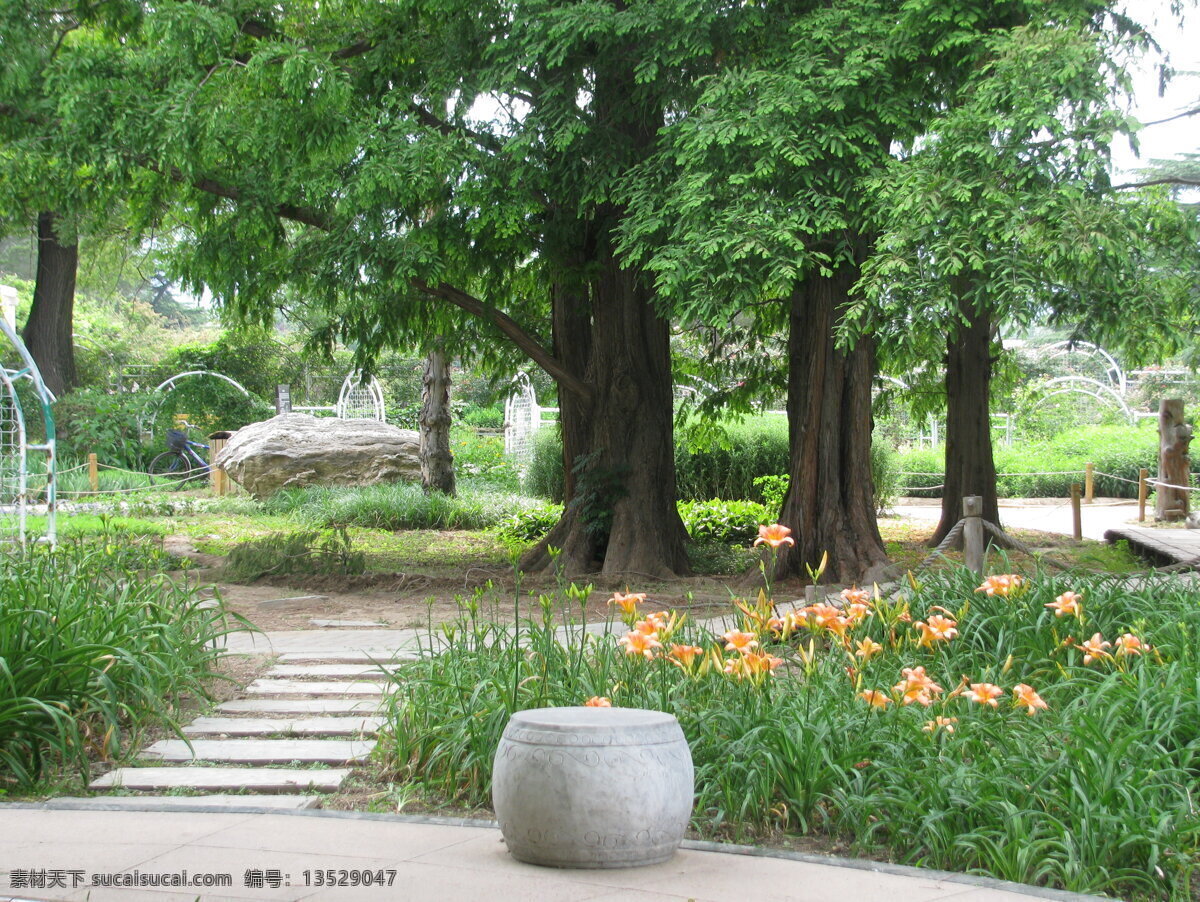 南植物园风景 南植物园美景 园林美景 小路 林荫道 石墩 萱草 绿化景观 绿树 绿地 树木 草地 花草 园林景观 公园美景 园林风景 建筑园林 园林建筑