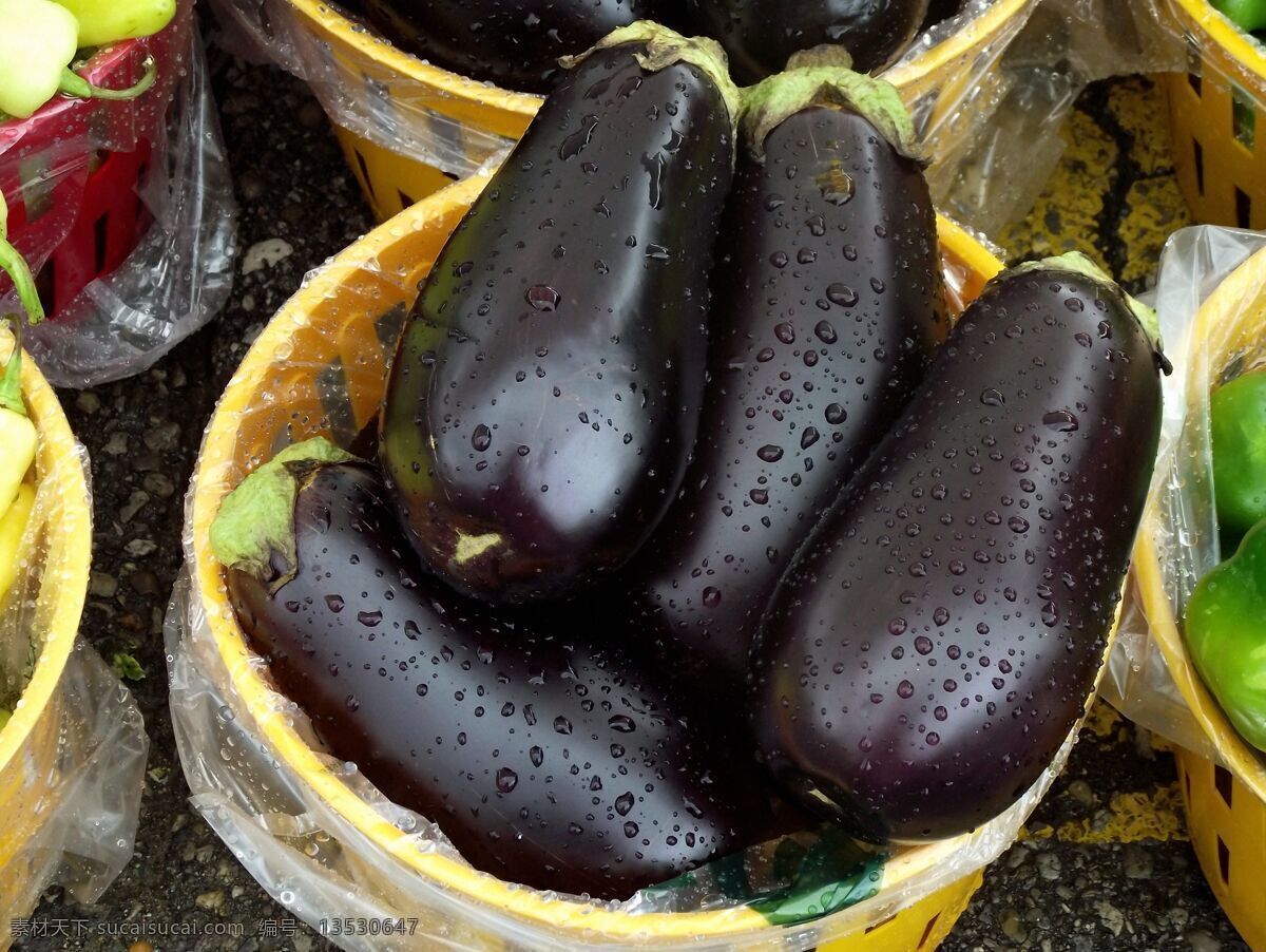 茄子 茄瓜 蔬菜 有机蔬菜 绿色蔬菜 农产品 菜篮子 生物世界